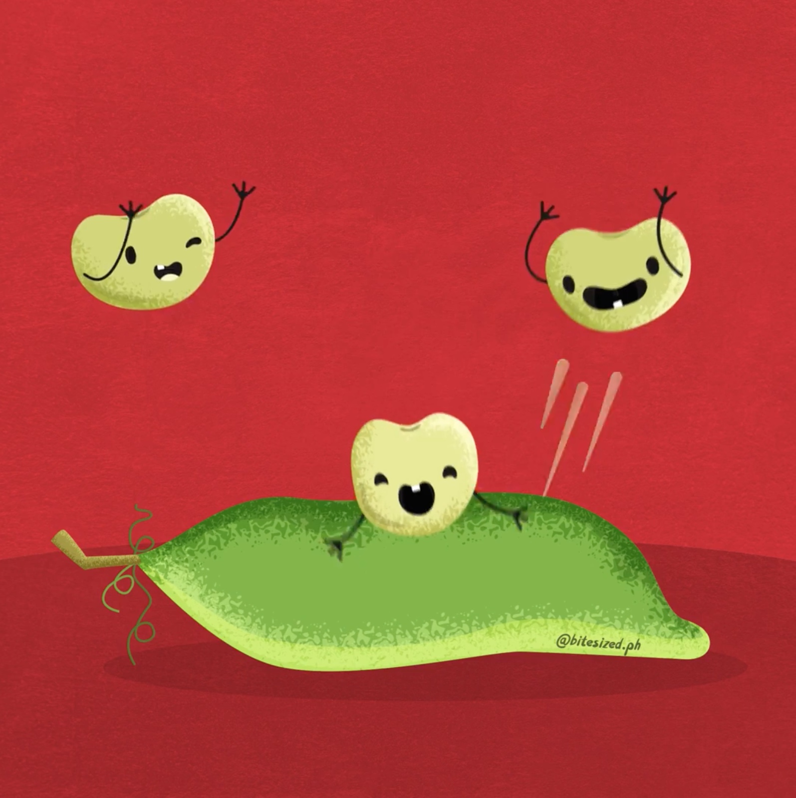 Do You Know The Nutritious Bean Patani?