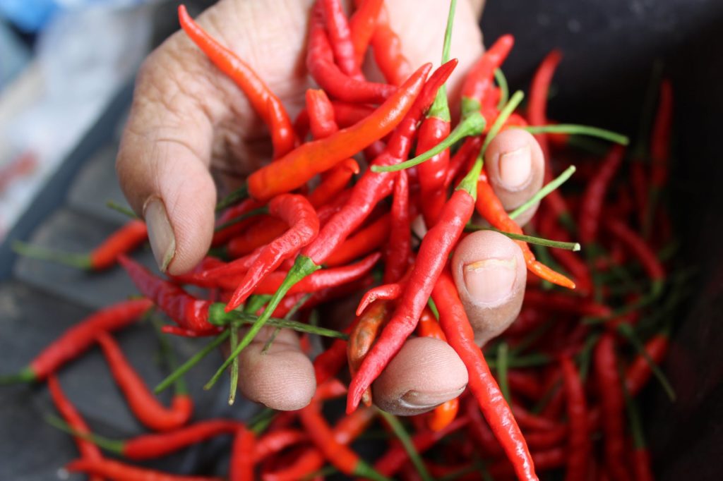 Chili Peppers You Can Find in the Philippine Market Bitesized.ph