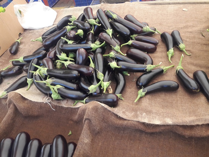 Eggplant
