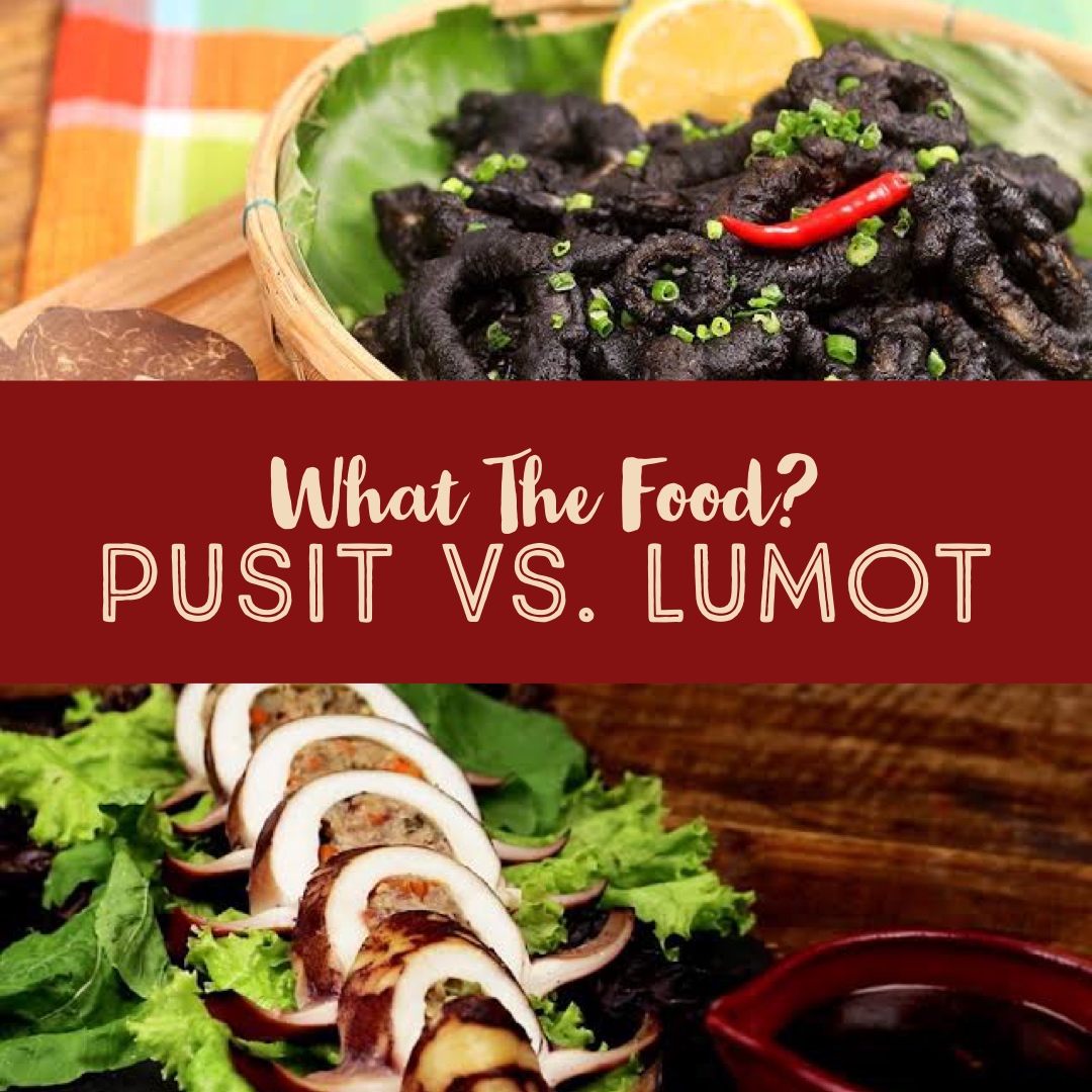 What The Food: Pusit Vs. Lumot