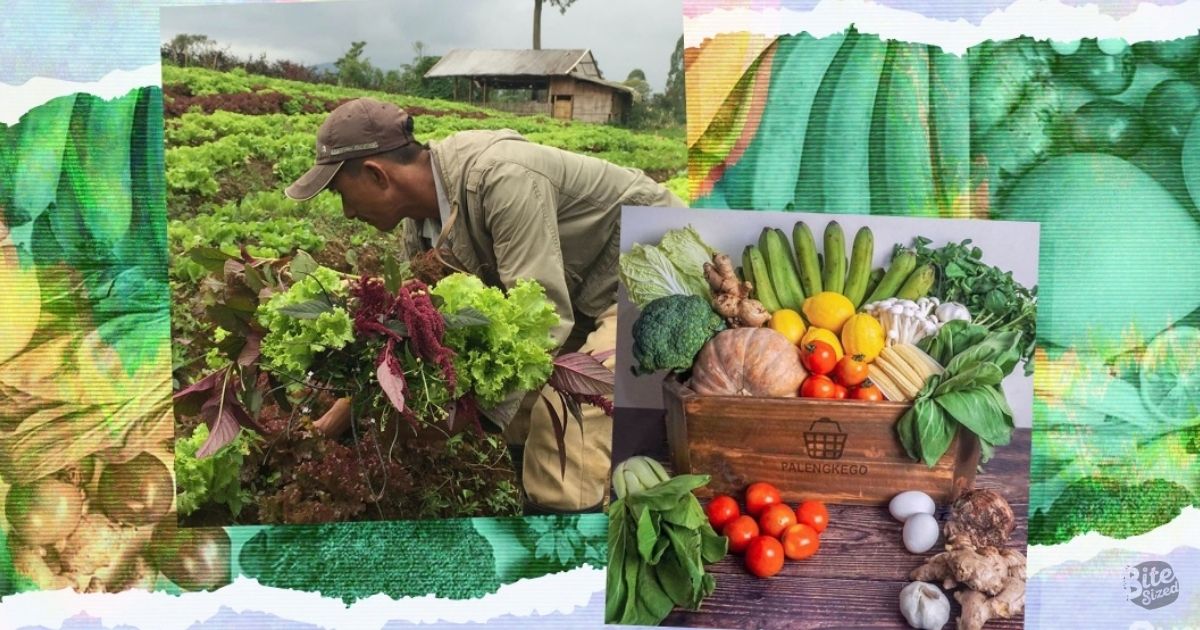 Have Your Fresh Produce Delivered by these Stores that Support Local Farmers