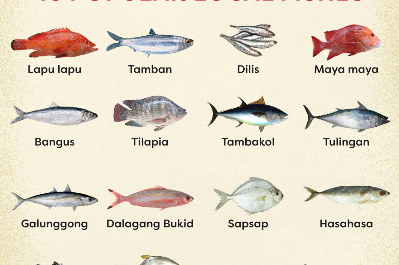 Food Almanac: Popular Fish Varieties