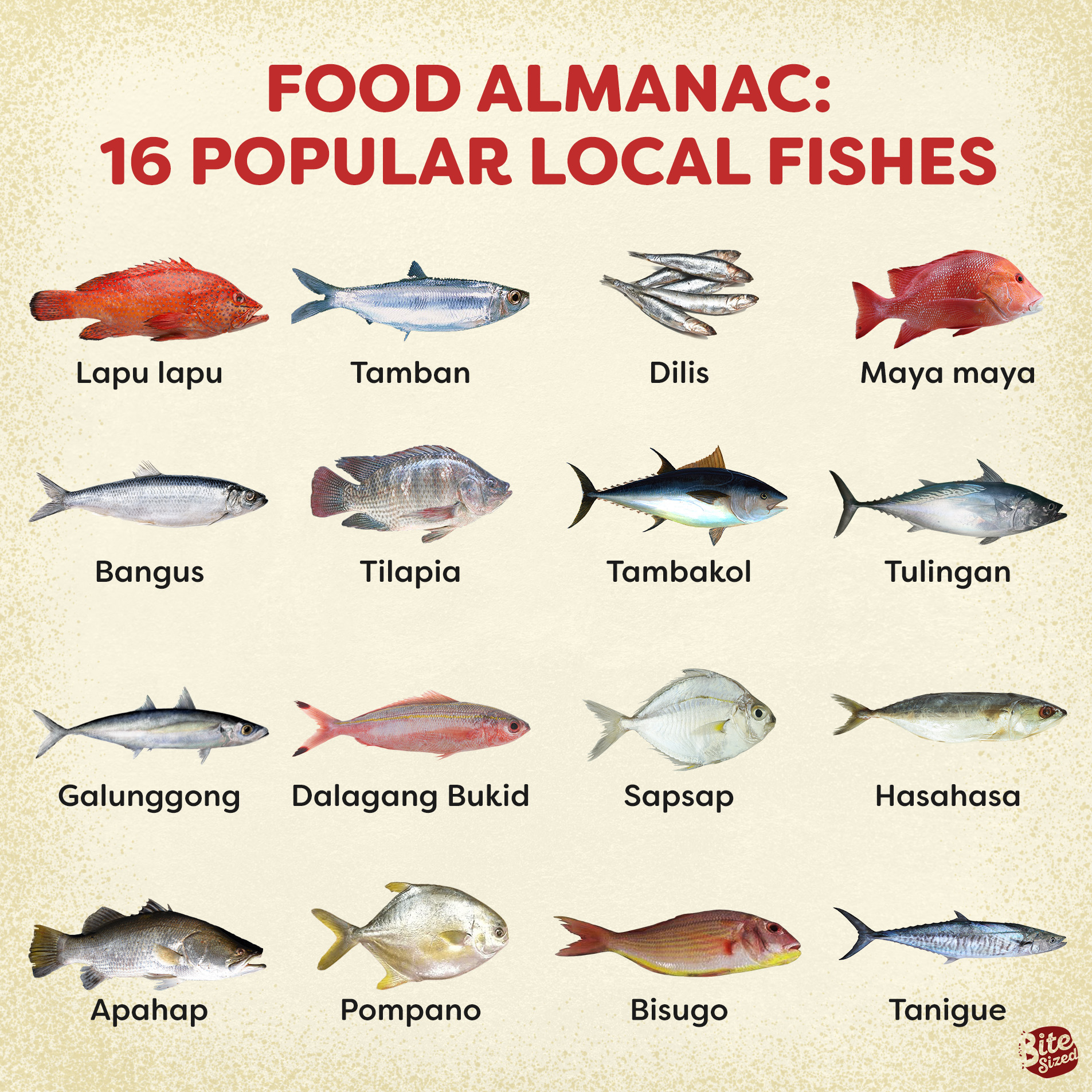 Food Almanac: Popular Fish Varieties 