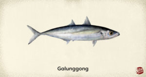 Popular Fish Varieties