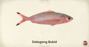 Popular Fish Varieties