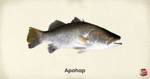 Popular Fish Varieties