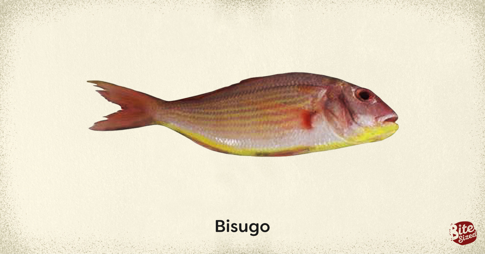 Food Almanac Popular Fish Varieties Bitesized.ph