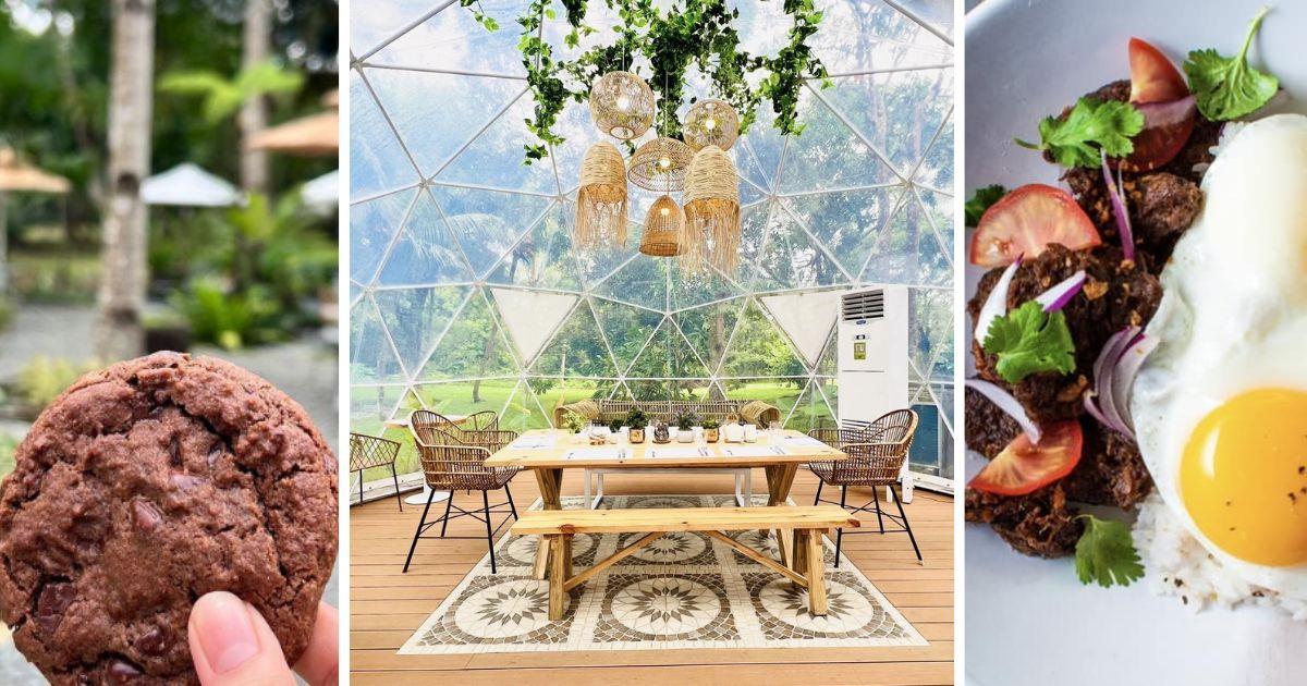 Siglo Cafe Lets You Enjoy Coffee Inside a ‘Bubble House’ Surrounded by Greenery