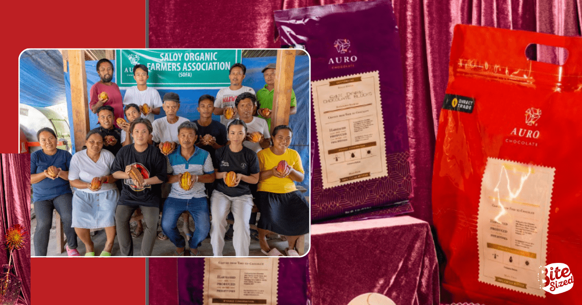 Auro Chocolate Bags Silver at Cacao of Excellence Awards