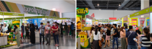philippine food expo