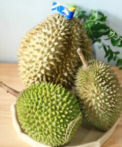 ifex philippines 2024