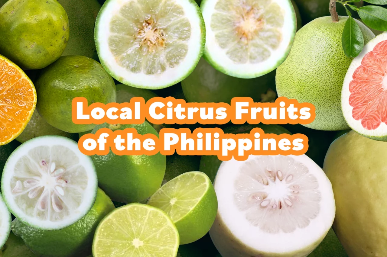 Food Almanac: Local Citrus Fruits of the Philippines