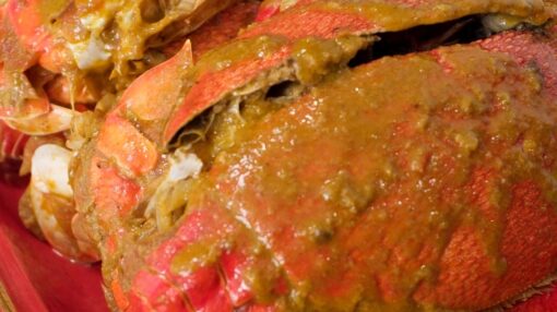 Curacha with Alavar Sauce