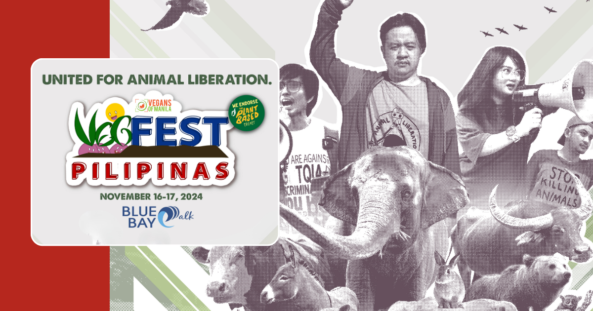 Come and visit VegFest Pilipinas 2024, the longest and biggest annual vegan festival in Asia!