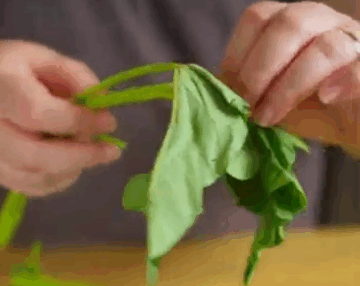 Crispy Kangkong