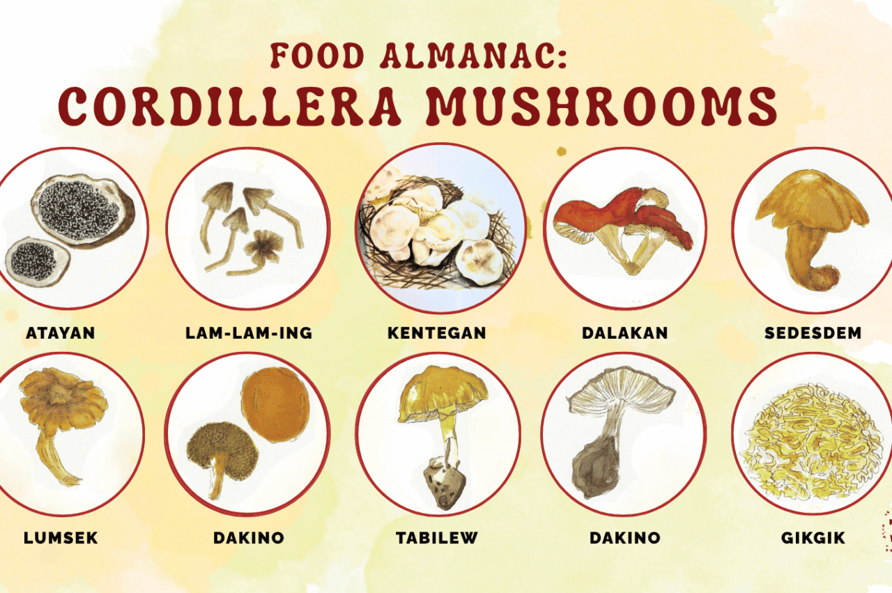 FOOD ALMANAC: Get to Know Some of these Mushrooms from the Cordilleras