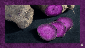 Ube in its root form
